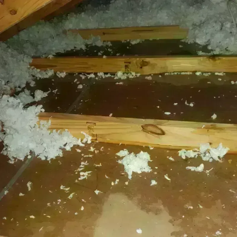 Attic Water Damage in Kenwood, IL