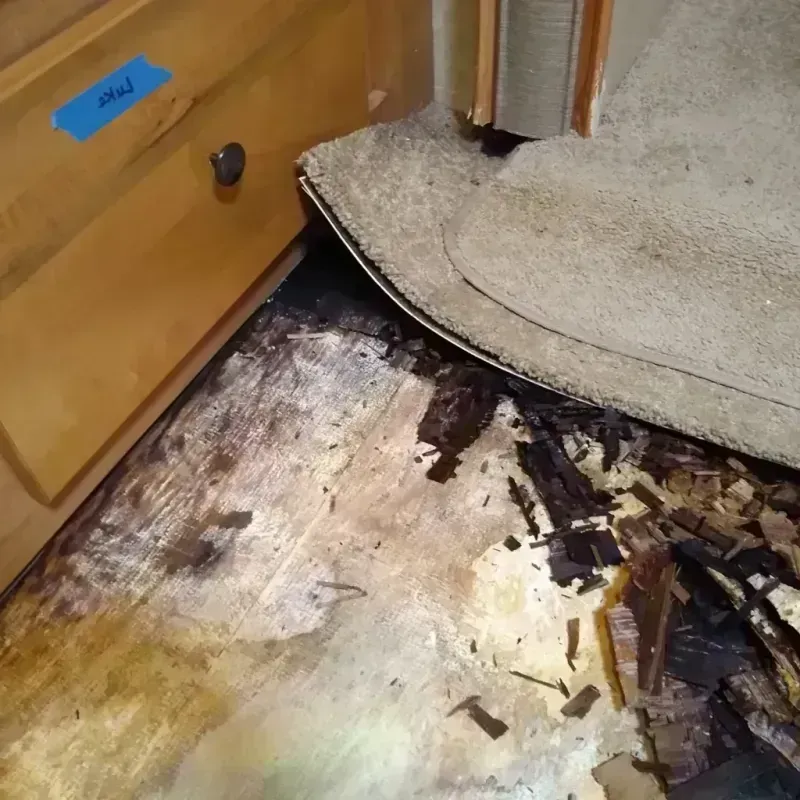 Best Wood Floor Water Damage Service in Kenwood, IL